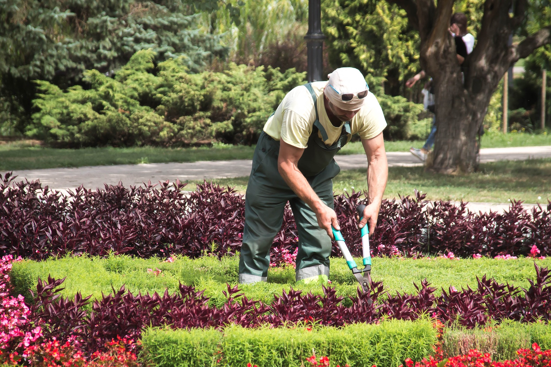 Travaux jardinage